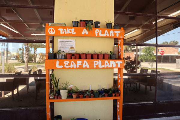 Take A Plant or Leaf a Plant at Growers Alliance